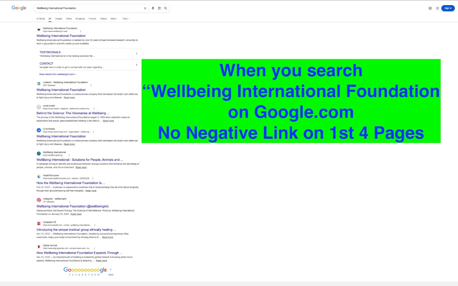 Wellbeing International Foundation SEO and ORM results