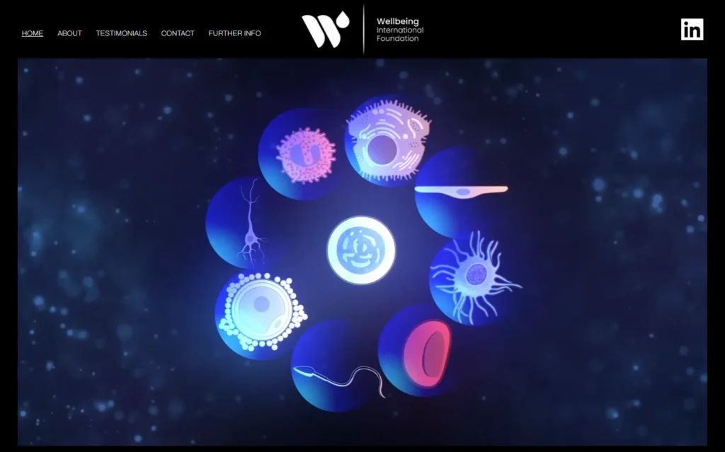Wellbeing International Foundation
